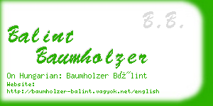 balint baumholzer business card